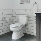 PROFLO PF01PH 09