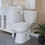 PROFLO PF2831CP